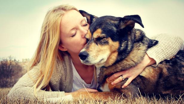 Hunde verstehen, was Menschen sagen