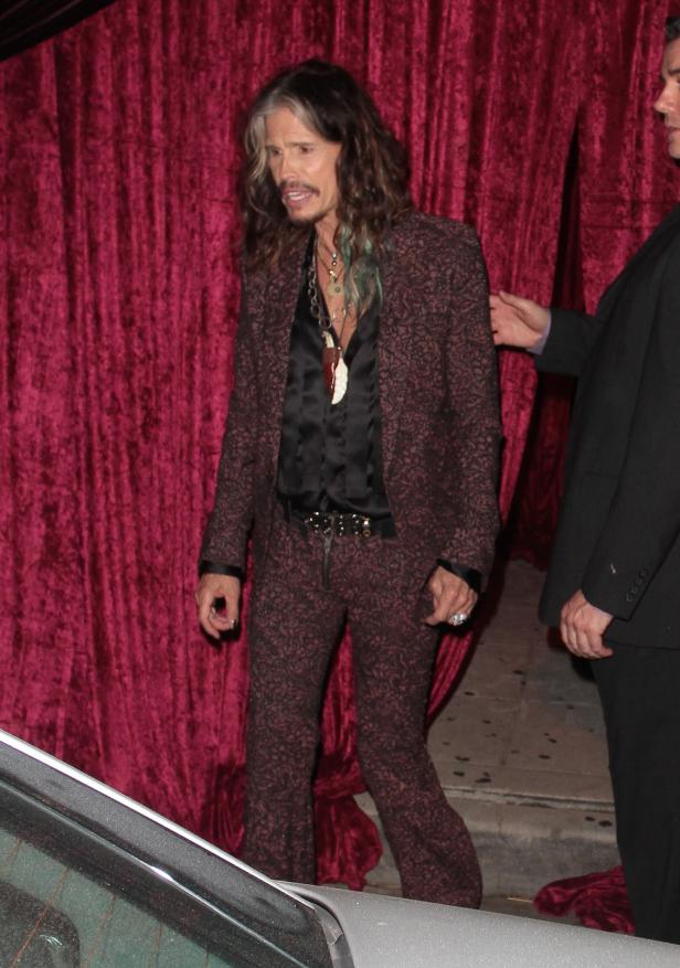 Steven Tyler in einem gemusterten Anzug vor einem roten Vorhang.