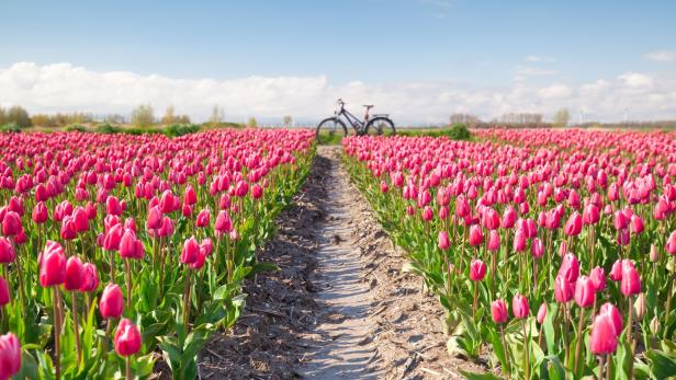 Hollands schönste Radtouren