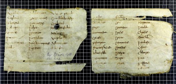 Der vielleicht älteste Text in deutscher Sprache