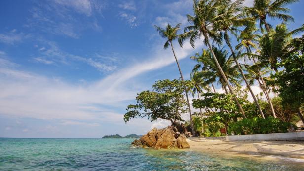 Palmen säumen einen tropischen Strand mit türkisfarbenem Wasser.