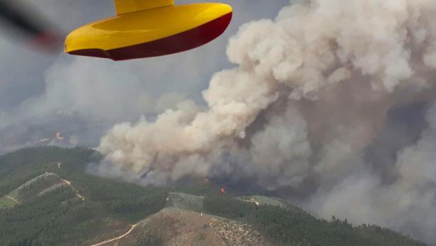 Portugal: Flammen fressen sich weiter vorwärts