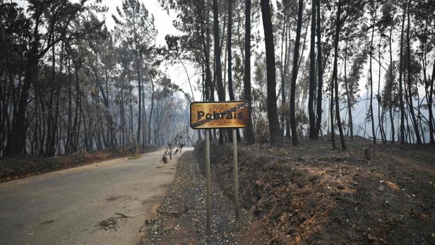 Waldbrand in Portugal: Zahl der Toten gestiegen