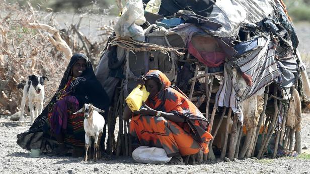 "Wir haben alles verloren": Dürre in Ostafrika bedroht 20 Millionen Menschen