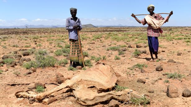 "Wir haben alles verloren": Dürre in Ostafrika bedroht 20 Millionen Menschen