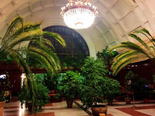 Ein Innenraum mit vielen Pflanzen und einem großen Kronleuchter.