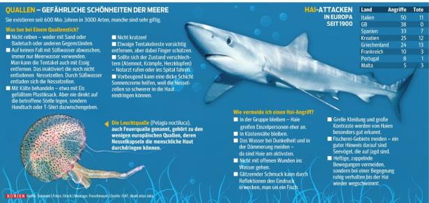 Haie und Quallen: Unliebsame Tiere im Mittelmeer