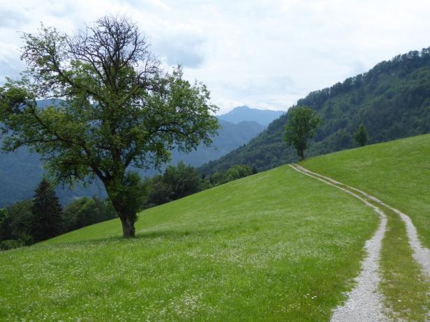 Wandern: 585 Kilometer durch Österreich