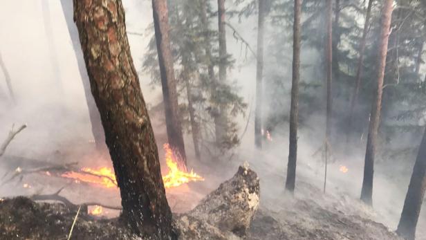 Lilienfeld: Waldbrand sorgte für Großeinsatz der Feuerwehren