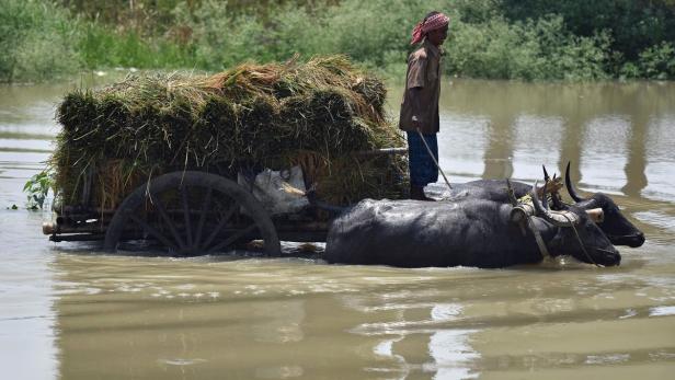 Überschwemmungen treffen Hunderttausende Inder