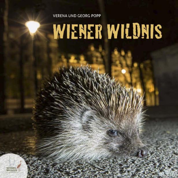 Wien: Wildnis in der Stadt