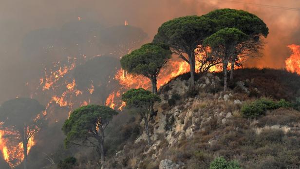 Brände am Vesuv: Steckt Giftmüll-Mafia dahinter?