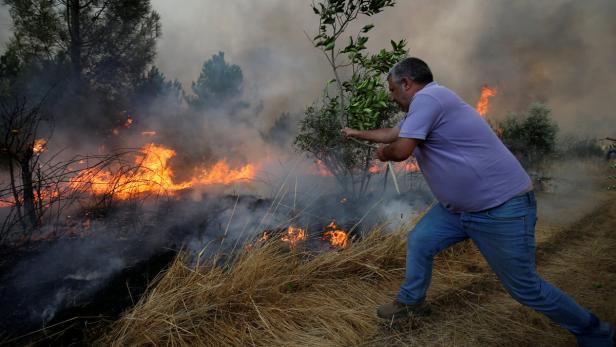 Waldbrände in Portugal breiten sich bedrohlich aus