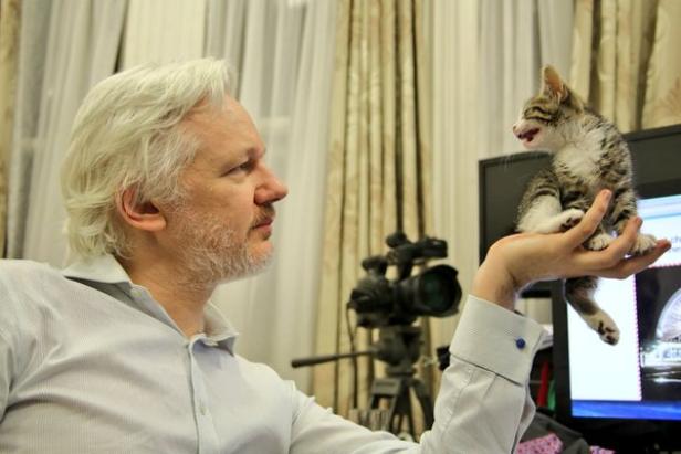 Wikileaks-Gründer Assange blitzt mit Klage ab