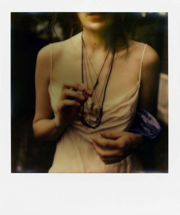Der Retter der Polaroids