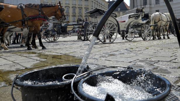 35,4 Grad in der Wiener City: Fiakerpferde bekamen erstmals hitzefrei