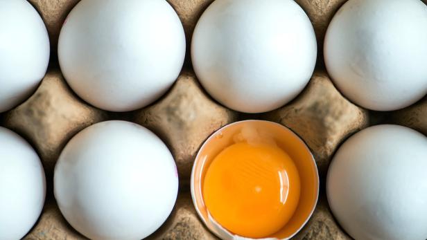 Fipronil: Gesundheitsgefährdender Wert bei Eierprobe