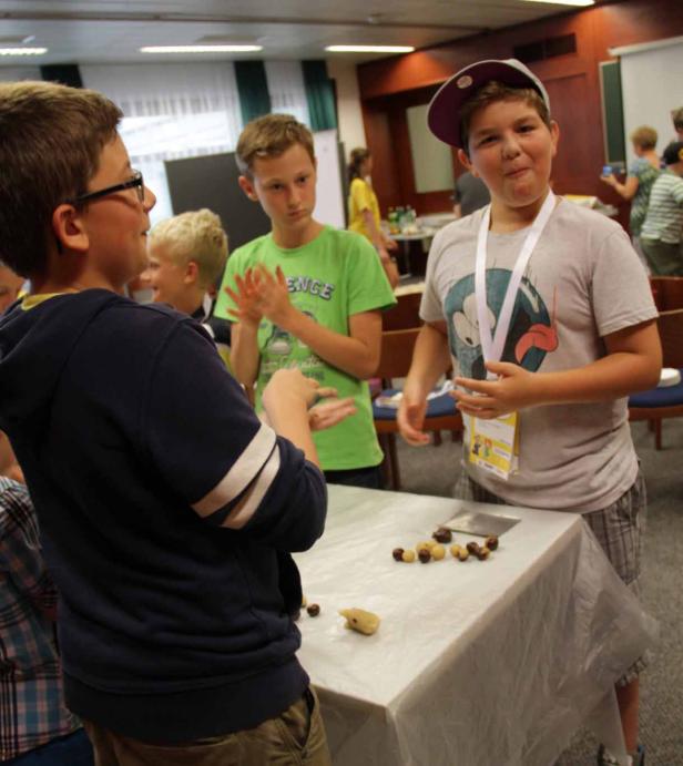 Jungen basteln mit Kastanien an einem Tisch.