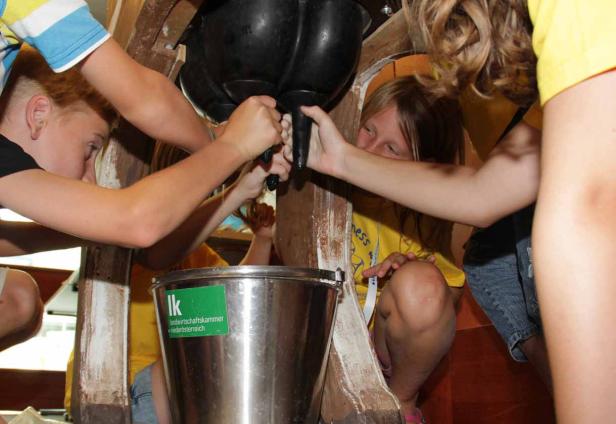 Mehrere Kinder melken eine künstliche Kuh in einen Metalleimer.