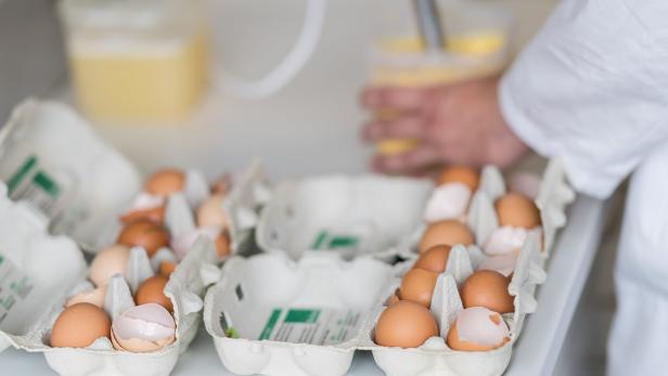 Fipronil: Acht bestätigte Fälle von belasteten Eiern in Österreich