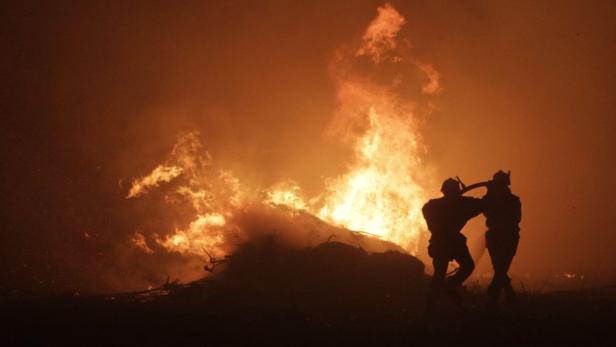 Waldbrände wüten auf Korsika