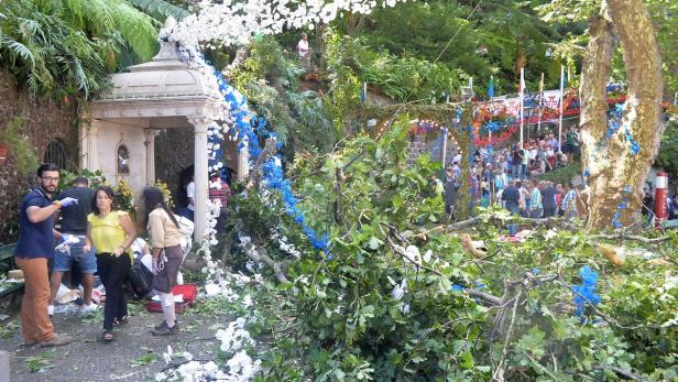 Eiche stürzt um: Zwölf Tote bei Marienfest auf Madeira
