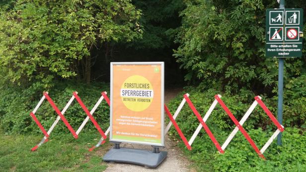 Eschensterben: "Garten Tulln" bleibt geöffnet