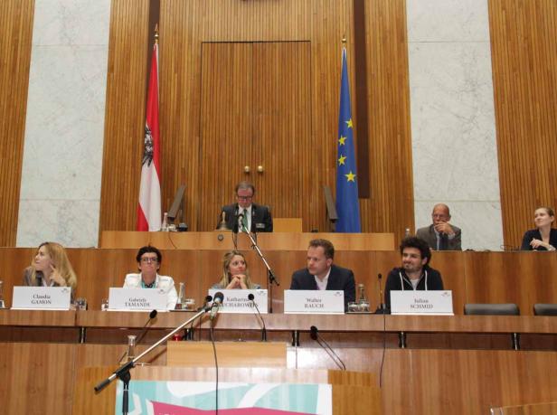 Mehrere Personen sitzen an einem Tisch bei einer Konferenz mit der österreichischen und der EU-Flagge im Hintergrund.