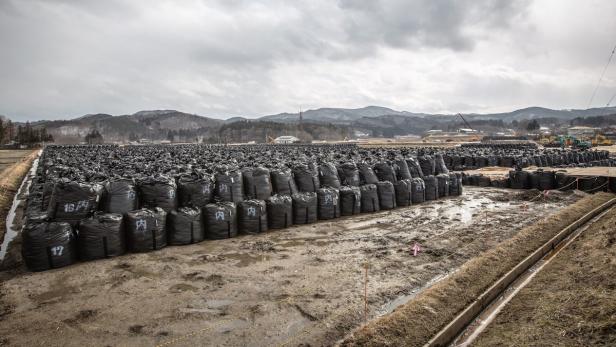 Fukushima: Friedhof der verseuchten Erde