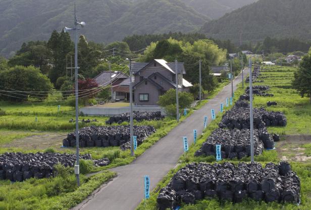 Fukushima: Friedhof der verseuchten Erde