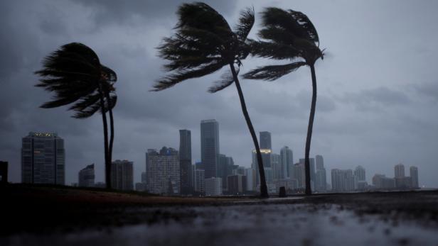 Hurrikan "Irma": Erste Tote in Florida - 1,3 Millionen ohne Strom