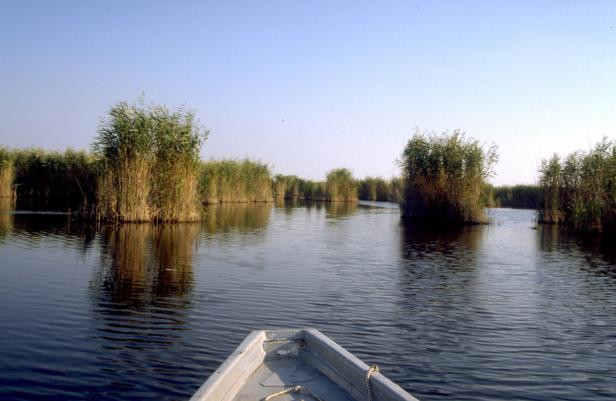 15 Fakten über den Neusiedler See