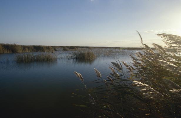 15 Fakten über den Neusiedler See