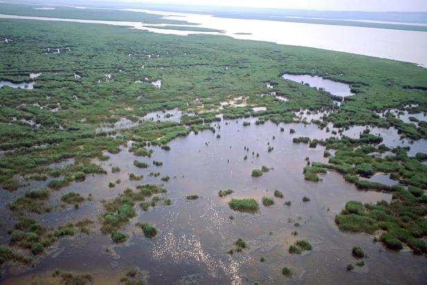 15 Fakten über den Neusiedler See