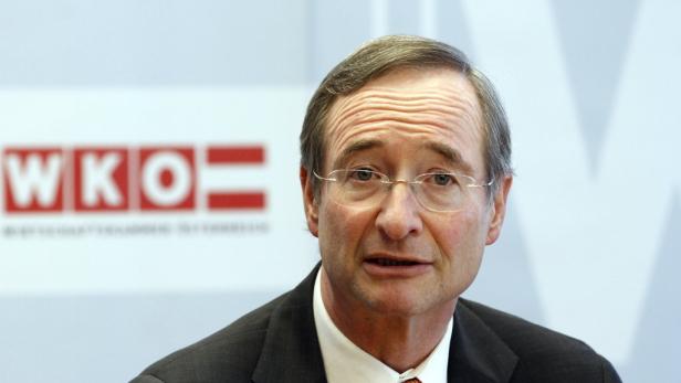 dapdWirtschaftskammerpraesident Christoph Leitl spricht am Mittwoch (29.06.11) in Wien (Oesterreich) bei einer Pressekonferenz ueber die inhaltlichen Schwerpunkte der Tagung des Wirtschaftsparlaments. Die Wirtschaftskammer Wien muss in Zusammenhang mit de