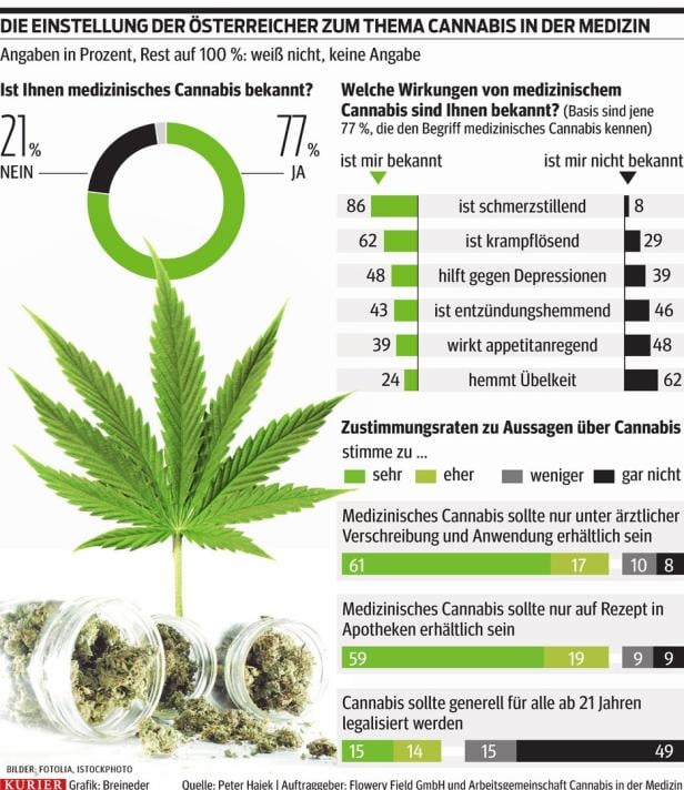 Cannabis in der Medizin: Eine Mehrheit ist dafür