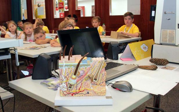 Kinder sitzen an Tischen mit einem Hautmodell und Laptops während einer Unterrichtsstunde.
