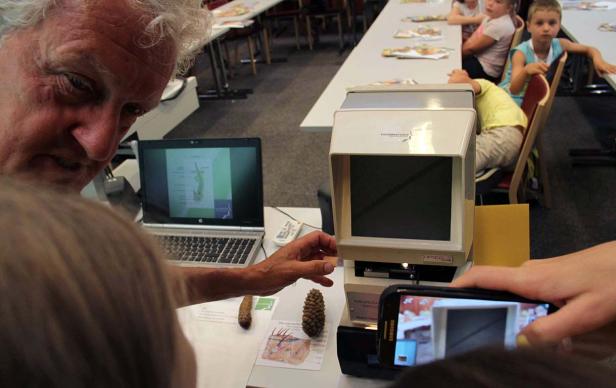 Ein Mann demonstriert Kindern die Betrachtung von Tannenzapfen durch ein Mikroskop.