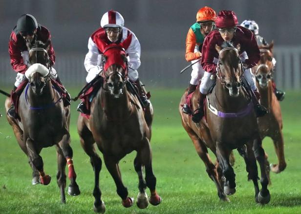 Katar: Maryam al-Subaiey ist erster weiblicher Jockey