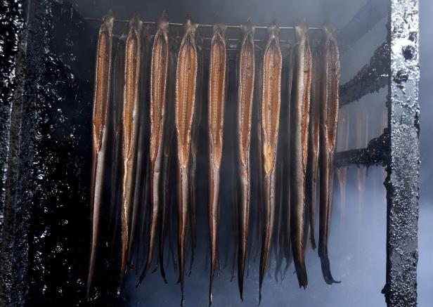 Ostsee-Fangquoten 2018: Mehr Sprotte, weniger Hering