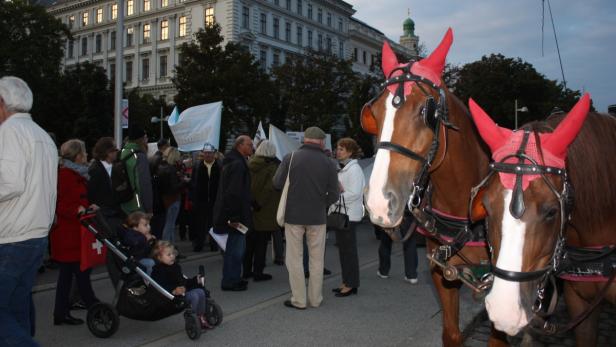 Ringsperre: Marsch der Wiener Wutbürger