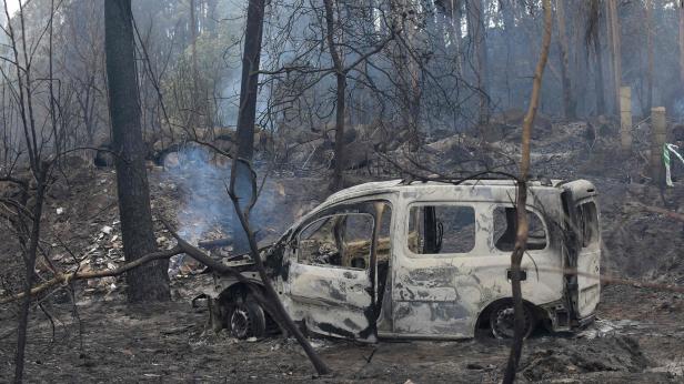 Waldbrände in Portugal: Mindestens 31 Tote