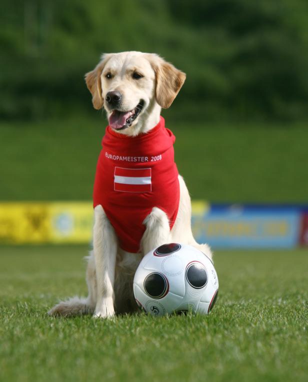 100 Gründe, um über das Sportjahr den Kopf zu schütteln