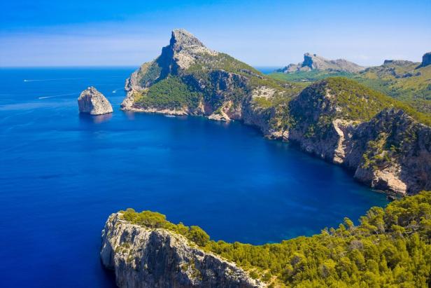 Coronavirus - Mallorcas Natur blüht ohne Massen-Tourismus auf