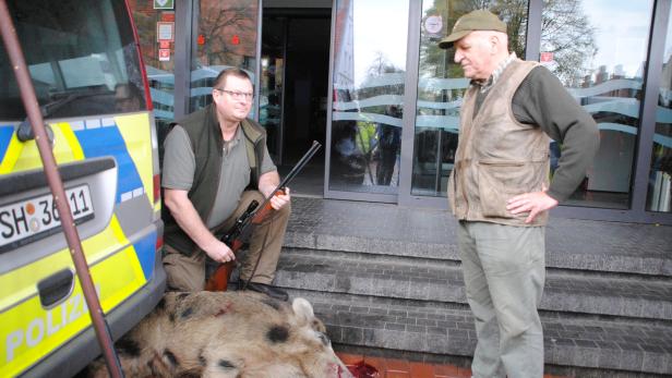 Aggressive Wildschweine verletzten vier Menschen