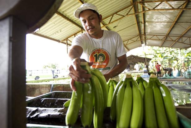 Was ist gesünder: grüne oder gelbe Bananen?