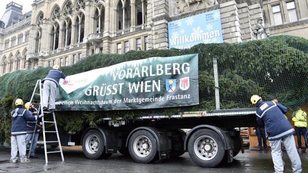 Wien: Vorarlberger Fichte am Rathausplatz aufgestellt