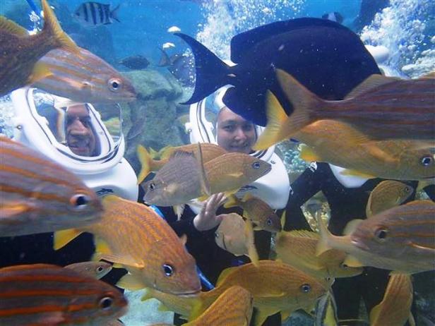 Zwei Personen erkunden die Unterwasserwelt mit speziellen Helmen, umgeben von vielen Fischen.