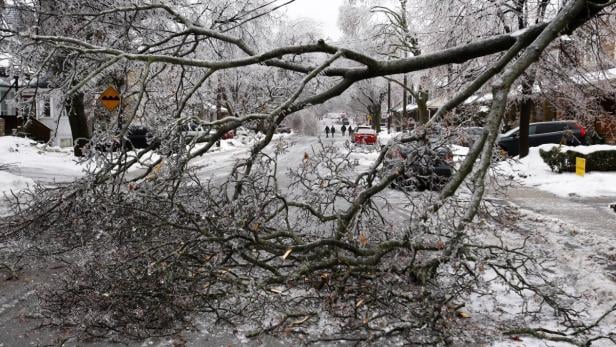 Ein abgebrochener, vereister Baum liegt auf einer verschneiten Wohnstraße.