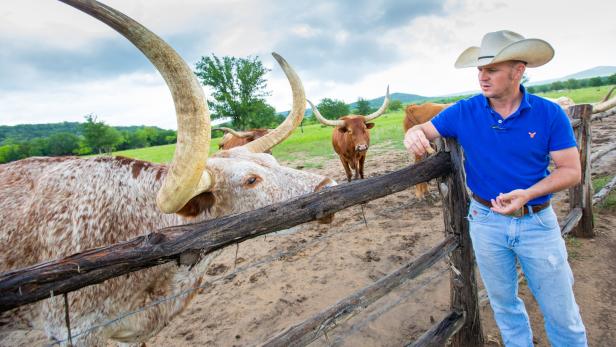 Nicht nur Cowboy-Klischees Nicht nur Cowboy-Klischees